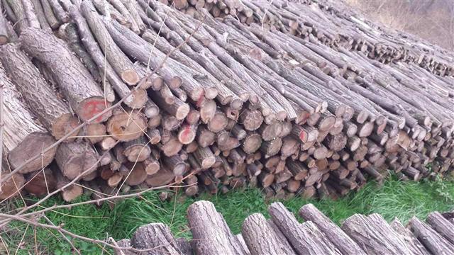 Oglas Ogrevno Drvo Bagrem Prodaje Se Valjevo Dom Porodica Gradjevinski Materijali Ogrevno Drvo Bagrem