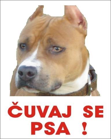 Cuvaj se psa