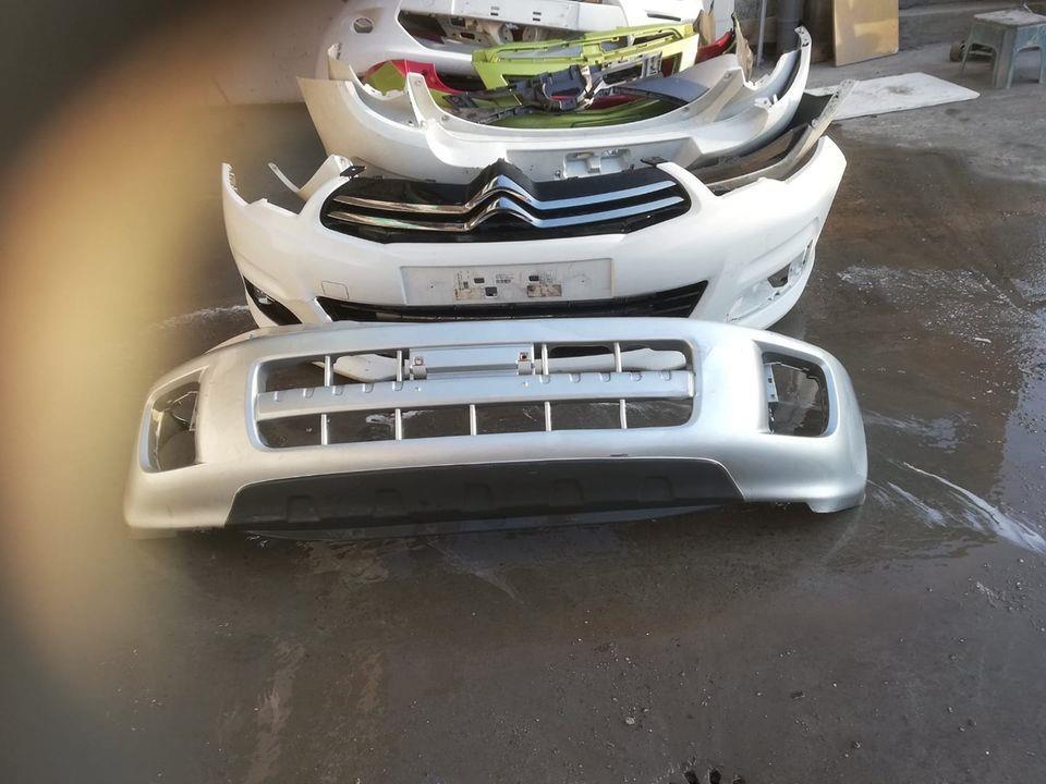 Branik-za-RAV-4