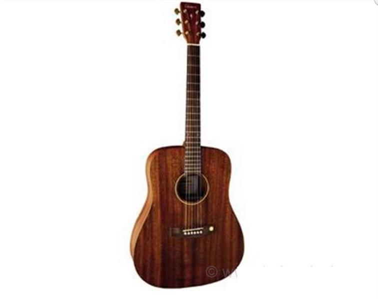 Akusticna-gitara-Gewa-Tenson-D-15