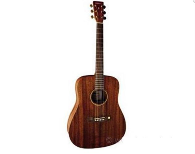 Akusticna gitara Gewa Tenson D-15