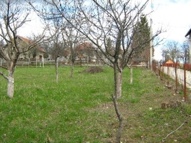 PLAC BLIZU ZLATIBORA