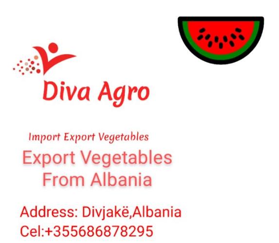 Export Vegetables Albania Diva Agro Import Export