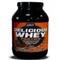 DELICIOUS WHEY PROTEIN 2200gr