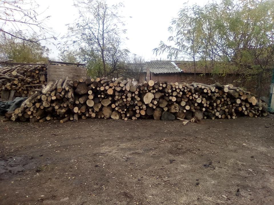 Drva