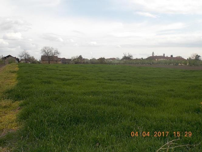 Plac Klenak