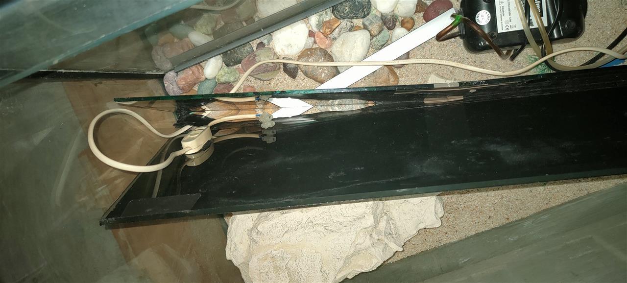 Akvarijum