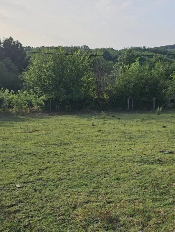 Prodajem-gradjevinski-plac-Kosmaj