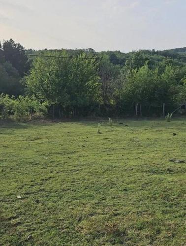 Prodajem gradjevinski plac-Kosmaj