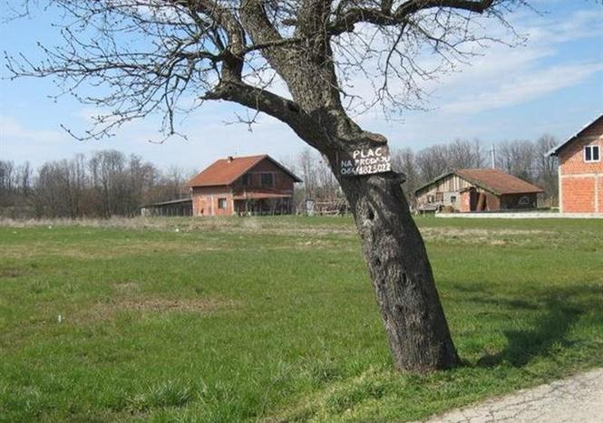 Plac od 1237 ari Vrnjačka Banja, Dubrava