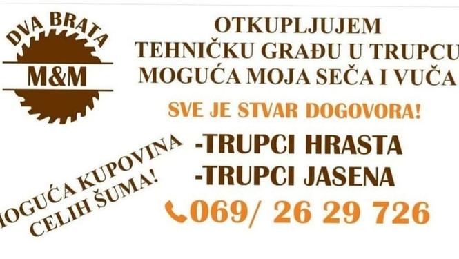 Trupci