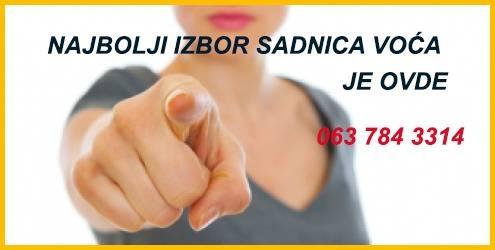 Najbolje sadnice za baštu i vrt