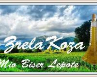 Lice - Zrela Koza