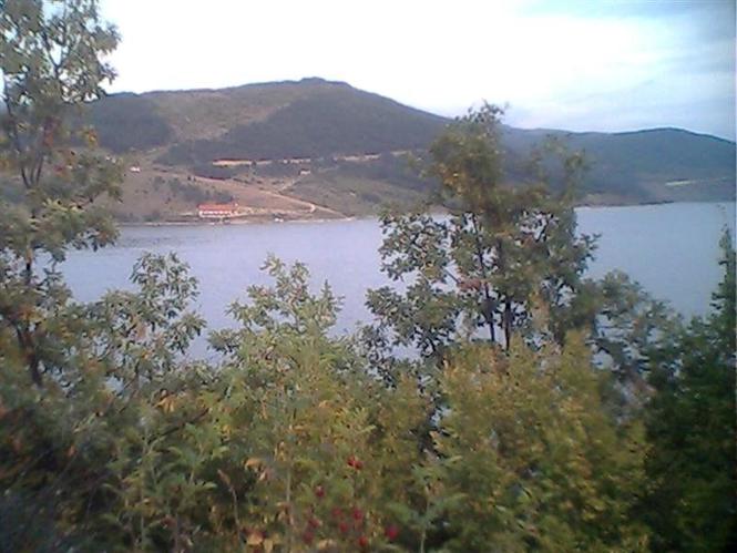   ZAMENA  LIVADA