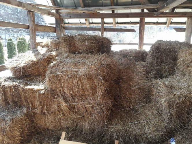 Bale (sijeno)na prodaju