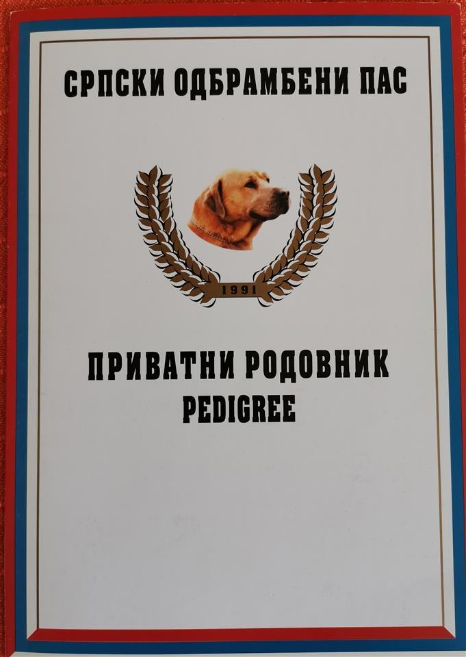 SOP---Srpski-odbrambeni-pas