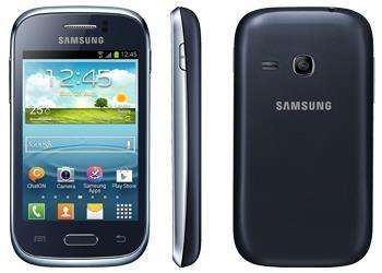 Samsung S6310 Galaxy Young