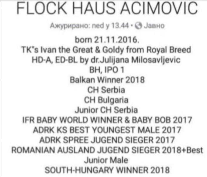Rotvajler-štenci