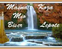 Lice - Masna Koza