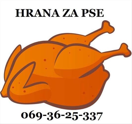 Hrana za pse