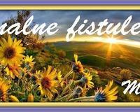 Analne fistule