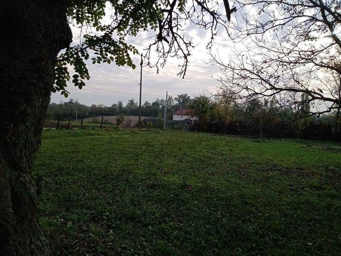 Prodaja