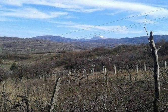 Prodajem vinograd u Nisu