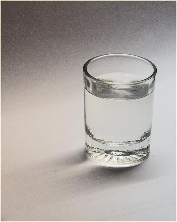 Rakija-sljivovica