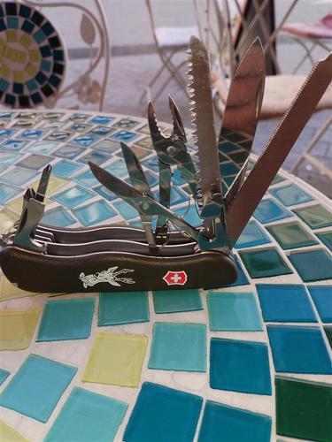 Victorinox workchamp