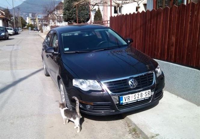 VW Passat 1,9 tdi -05