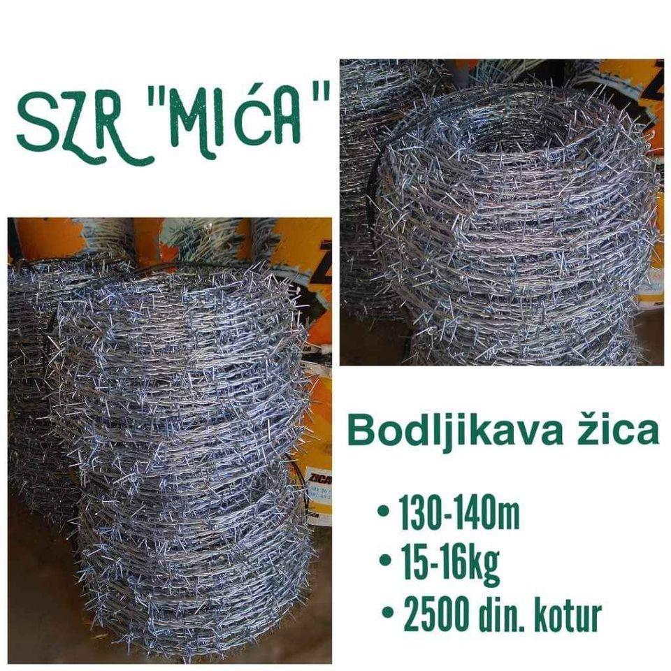 Zica