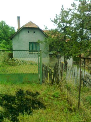Plocnik 