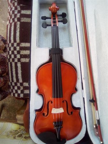 Violina
