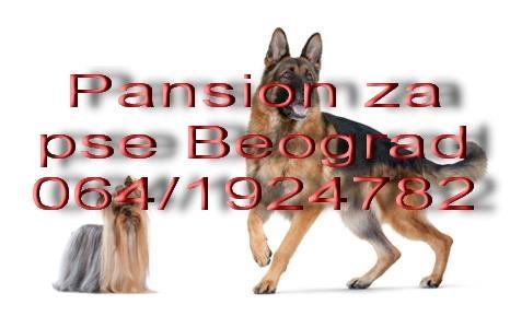 Pansion-za-pse