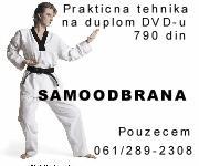 dupli-DVD-VIDEO-KURS-I-SKOLA-GITARE