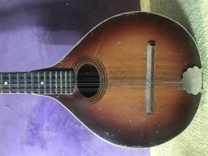 Mandolina