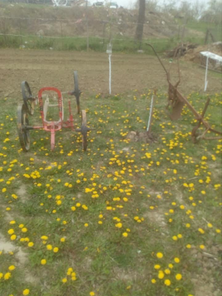 Stari-plug