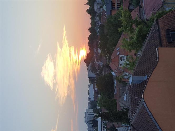 Stan na dan Novi Sad
