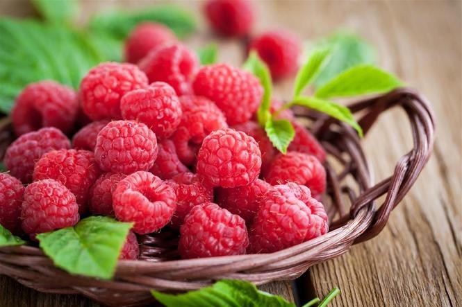 Berba maline