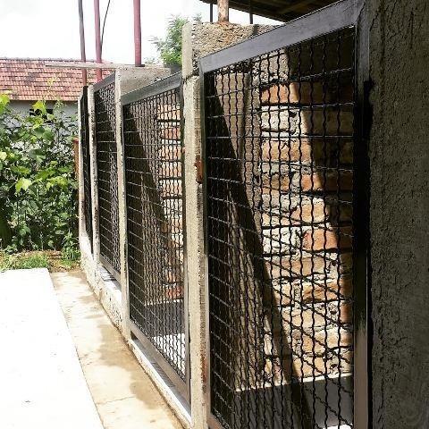 Pansioni-za-pse