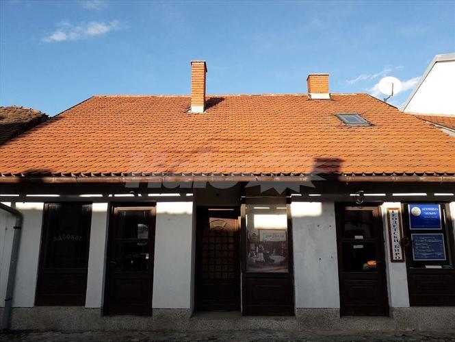Kuca u Tesnjaru sa dva lokala,Valjevo