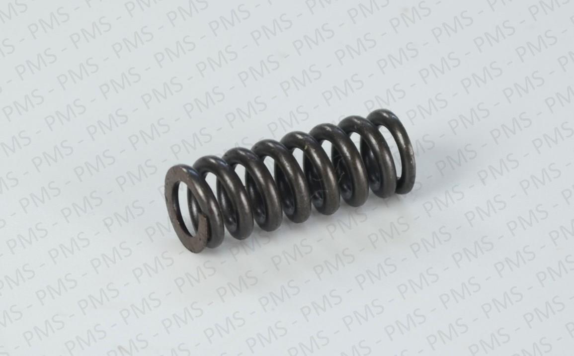 Carraro-Spring-Types--Oem-Parts