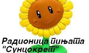 Radinica  "Suncokret"