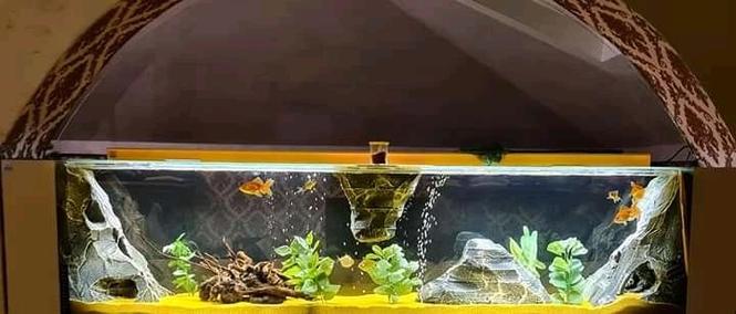 Izrada akvarijuma I prateće opreme