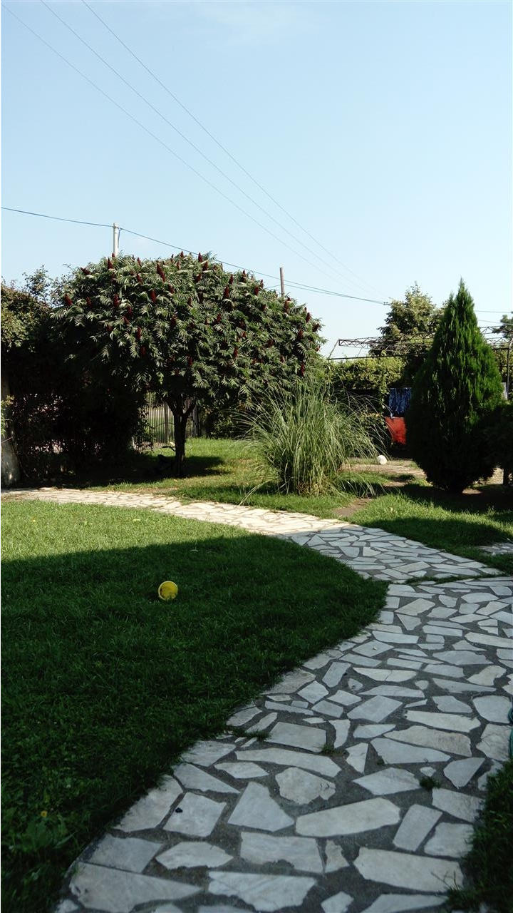 Kuća-na-prodaju-