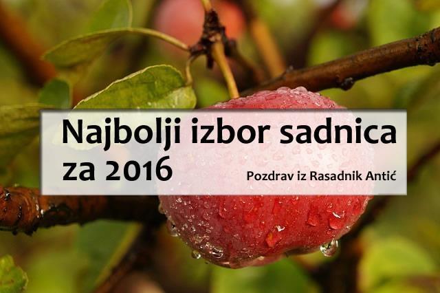 Najbolje sadnice za jesen 2016