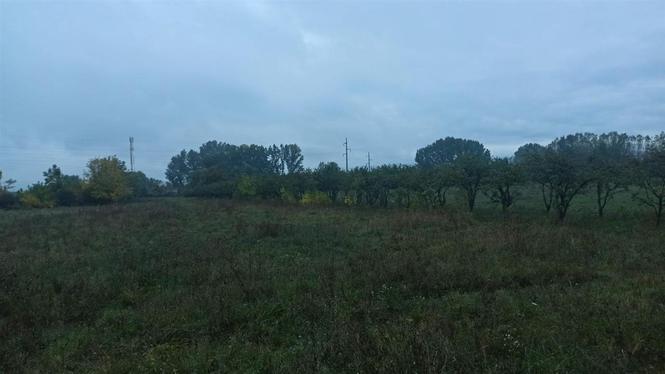 Plac 57ari Ledena stena