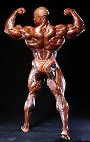 NEVEROVATNA LEDJA by RONNIE COLEMAN