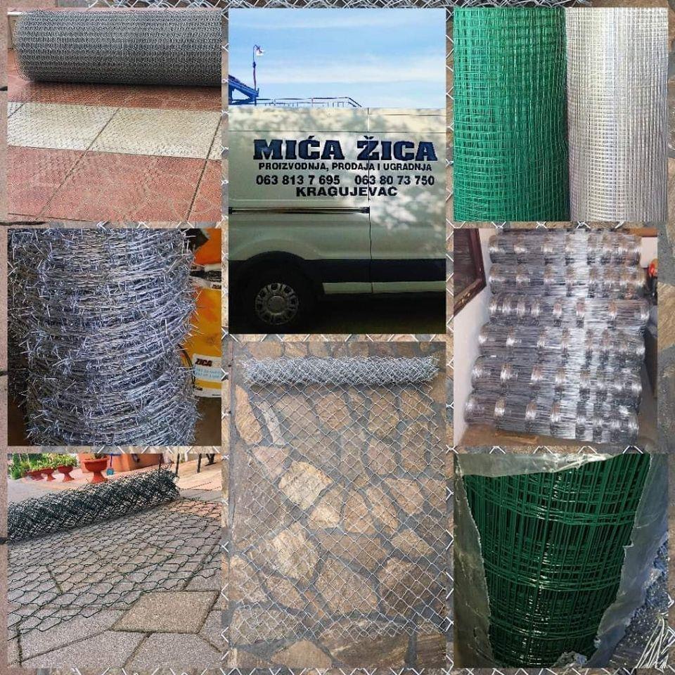 Žica