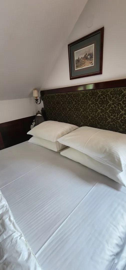 Zlatibor-Palisad-ekskluzivan-stan-43m2-opremljen